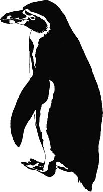 Penguin